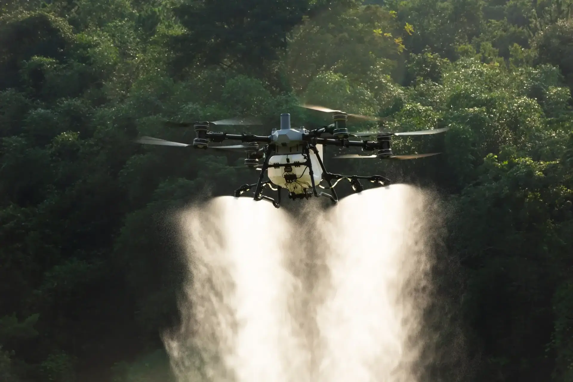 DJI T100 beim Sprühen